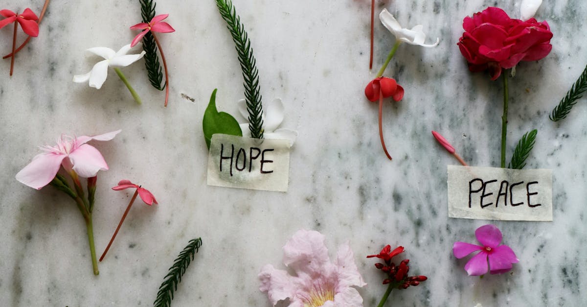 How do consultants get paid?