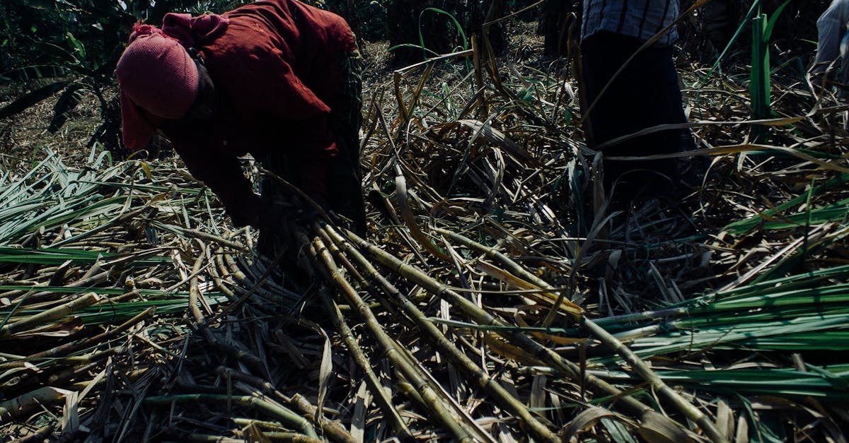 Is it hard to be a business consultant?